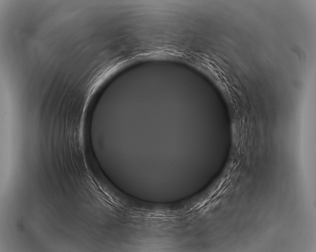 X0000113590196200909181055