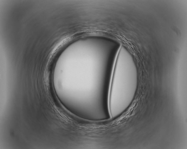 X0000113590197200909181055