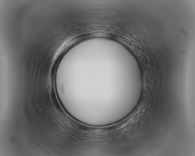 X0000113590198200909181055