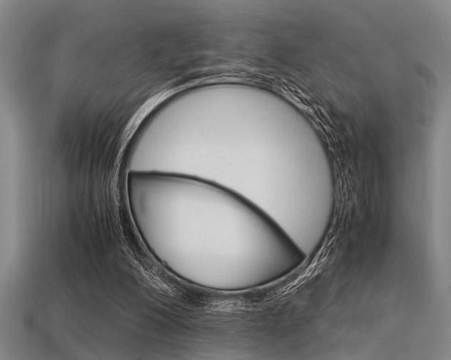 X0000113590200200909181055