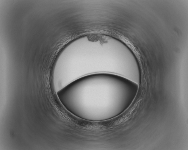 X0000113590201200909181055
