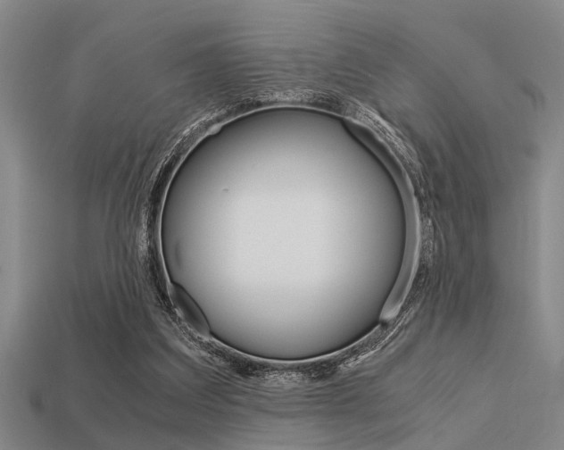 X0000113590203200909181055