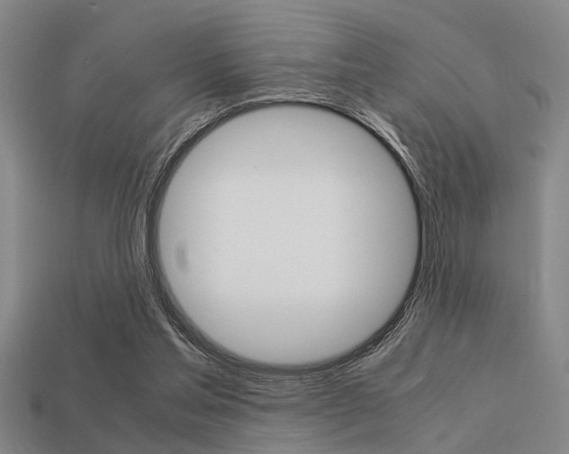 X0000113590205200909181055