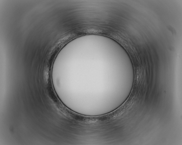 X0000113590206200909181054