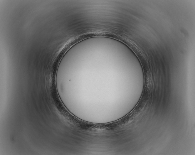 X0000113590208200909181054