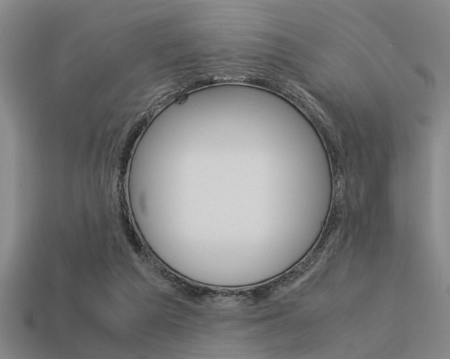 X0000113590209200909181054