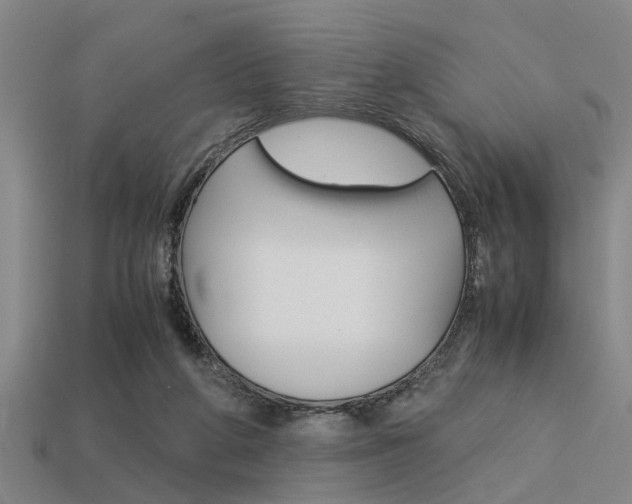 X0000113590210200909181054