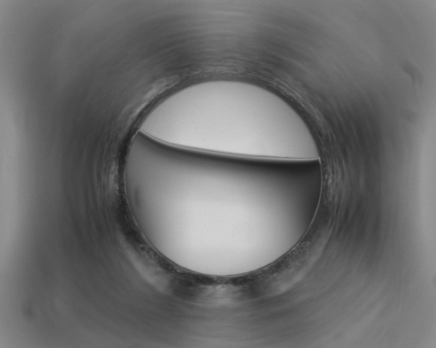 X0000113590212200909181054