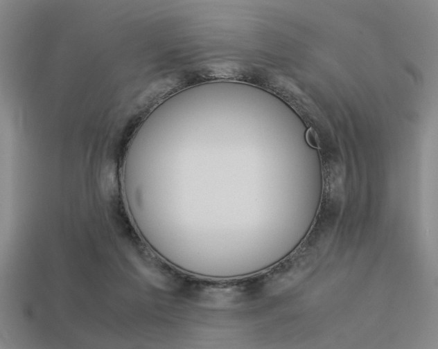 X0000113590213200909181054