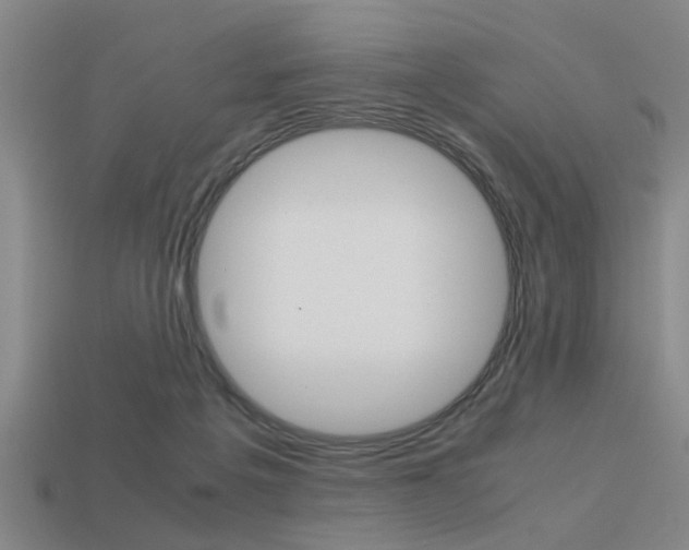 X0000113590217200909181054