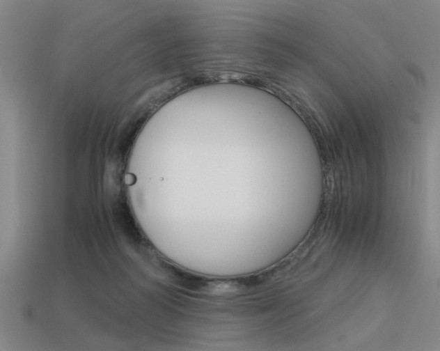 X0000113590218200909181054