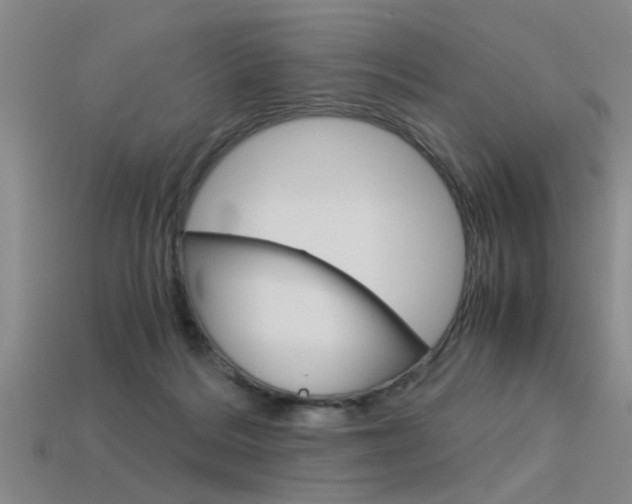 X0000113590220200909181054