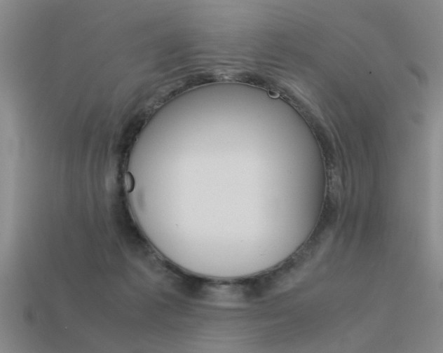 X0000113590221200909181054