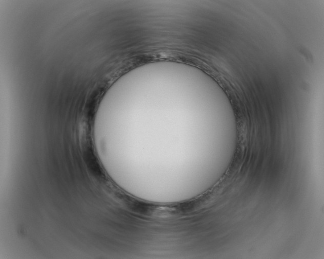 X0000113590222200909181054