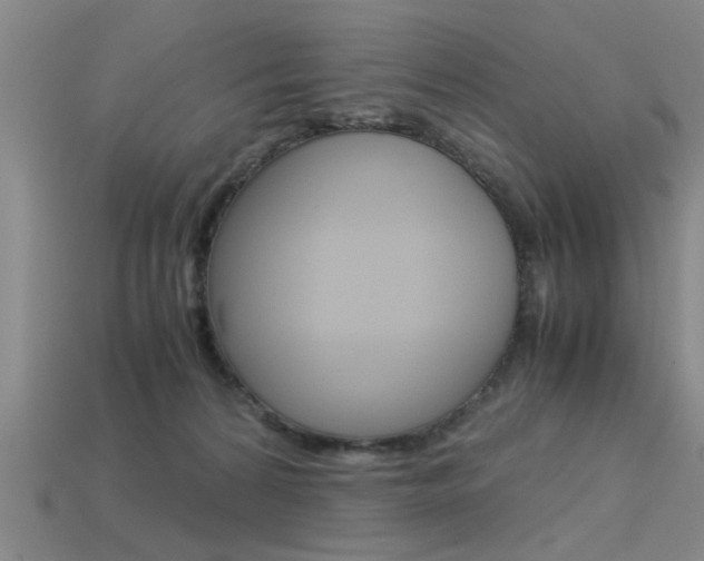 X0000113590224200909181054