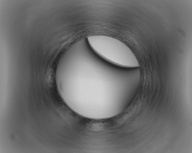 X0000113590228200909181054