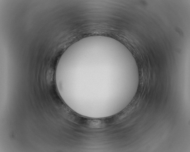 X0000113590230200909181054