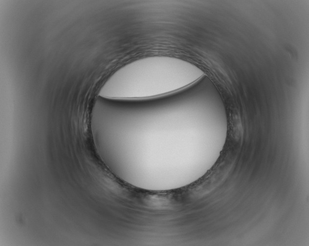 X0000113590232200909181054