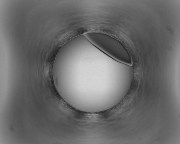 X0000113590233200909181054