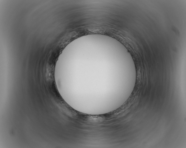 X0000113590234200909181054