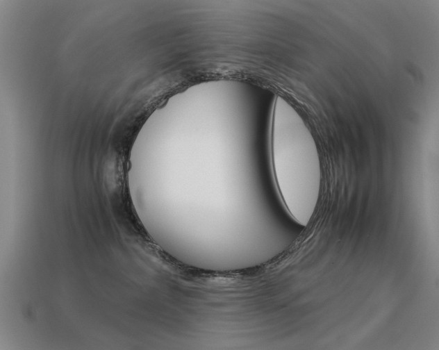 X0000113590236200909181054