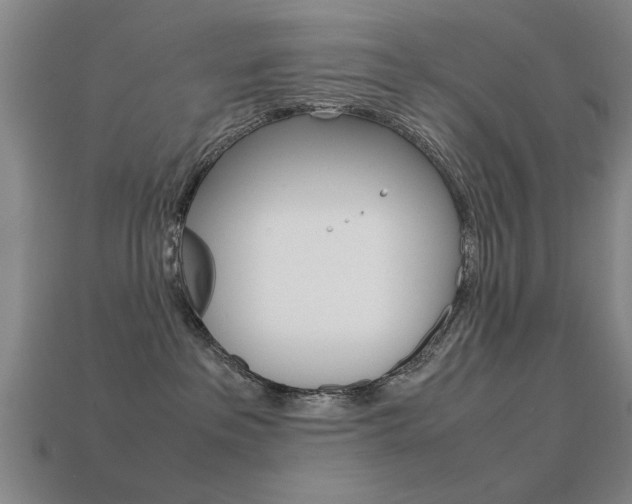 X0000113590237200909181054