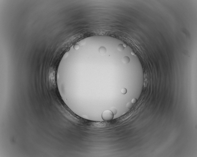X0000113590238200909181054