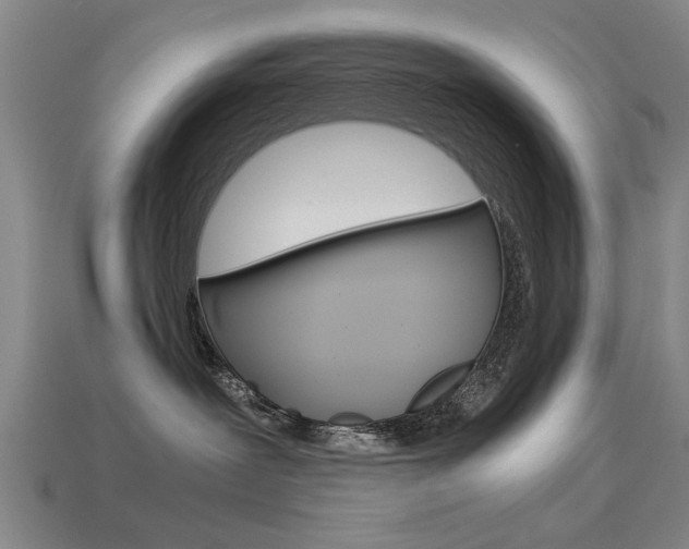 X0000113590239200909181054