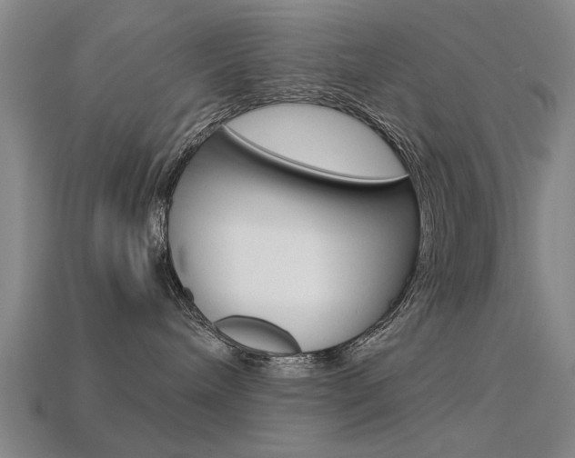 X0000113590240200909181054