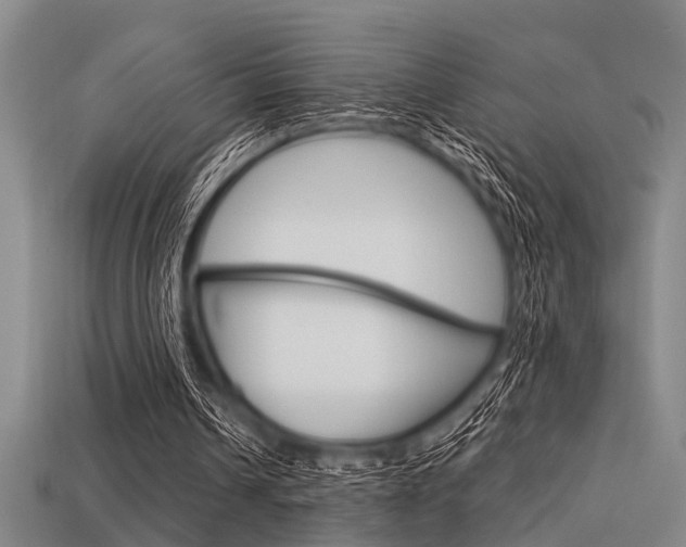 X0000113590242200909181053