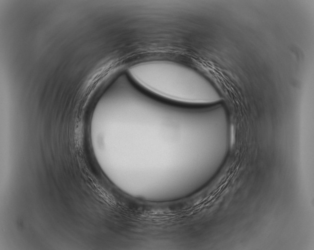 X0000113590243200909181053