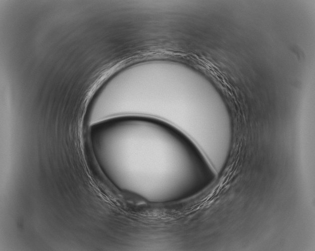 X0000113590244200909181053