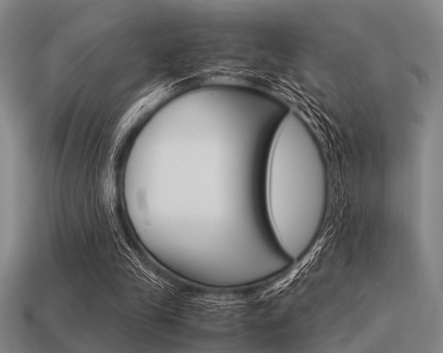 X0000113590245200909181054
