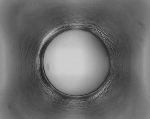 X0000113590246200909181054