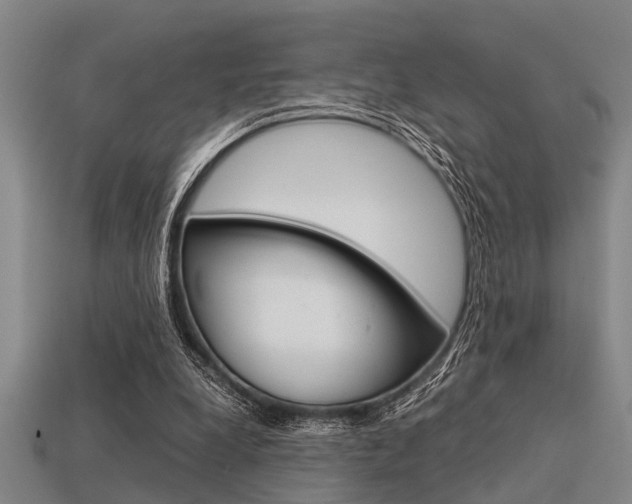 X0000113590248200909181054