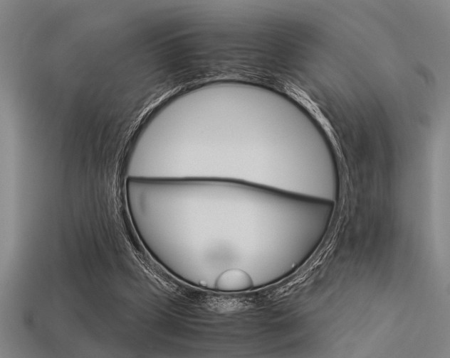 X0000113590249200909181054