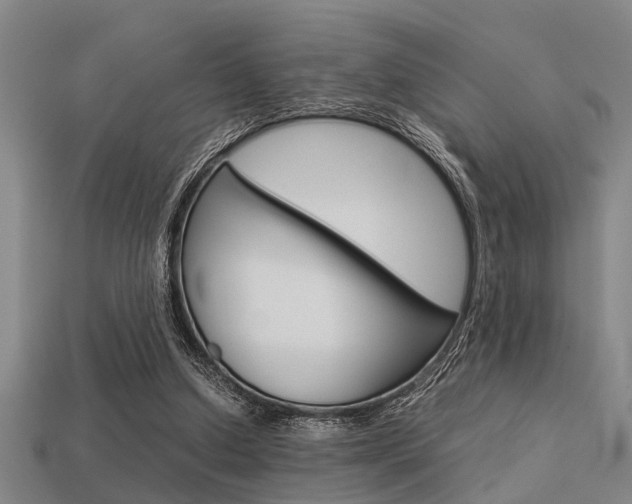 X0000113590250200909181054
