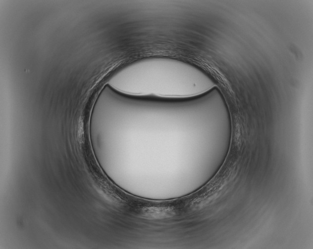 X0000113590251200909181054