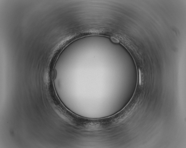 X0000113590252200909181054