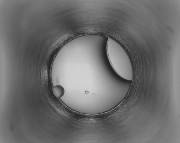 X0000113590254200909181054