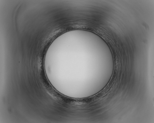 X0000113590255200909181054