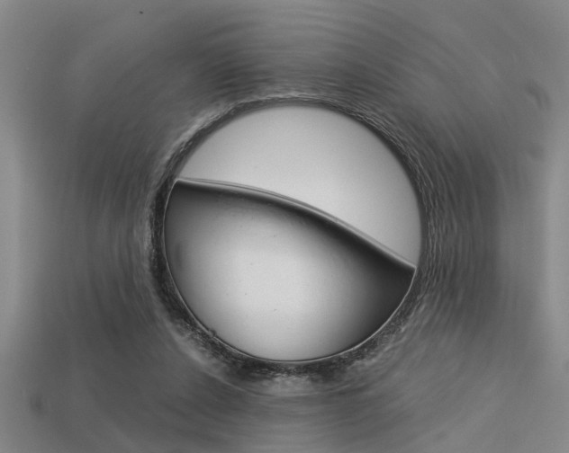 X0000113590256200909181054
