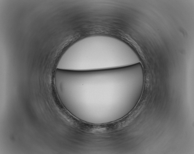 X0000113590257200909181054