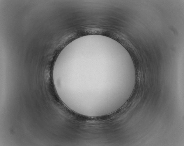 X0000113590259200909181054
