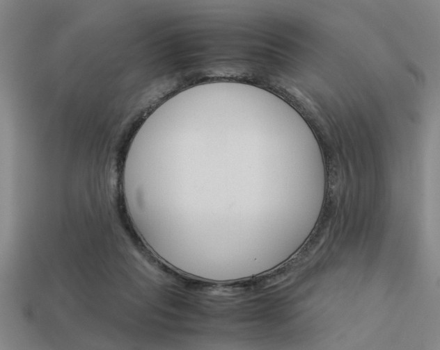 X0000113590261200909181054