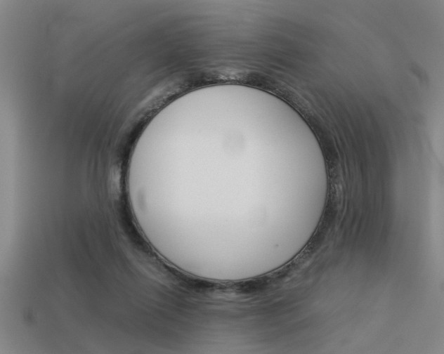 X0000113590262200909181054