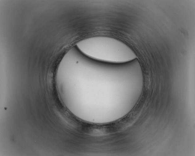 X0000113590263200909181054