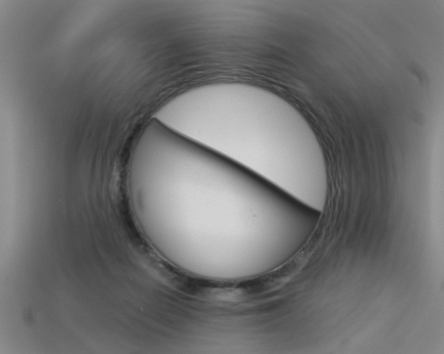 X0000113590266200909181054