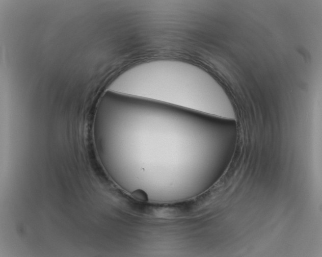 X0000113590268200909181054