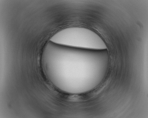 X0000113590269200909181054